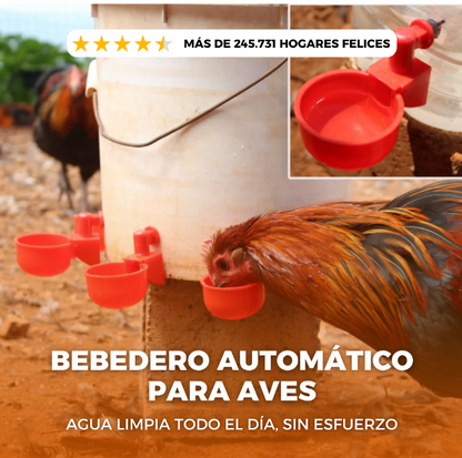Set x 5 Bebedero AutoFresh para Aves de Corral