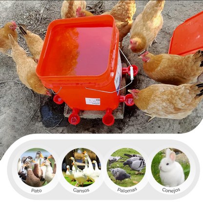 Set x 5 Bebedero AutoFresh para Aves de Corral
