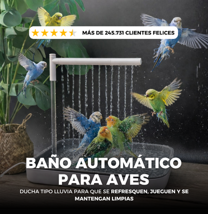 BAÑO AUTOMÁTICO PARA TU PÁJARO: SU MOMENTO FAVORITO DEL DÍA