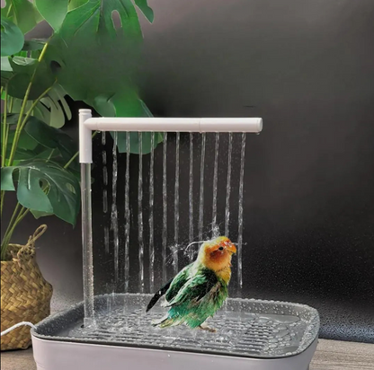 BAÑO AUTOMÁTICO PARA TU PÁJARO: SU MOMENTO FAVORITO DEL DÍA
