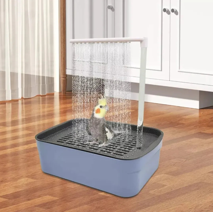 BAÑO AUTOMÁTICO PARA TU PÁJARO: SU MOMENTO FAVORITO DEL DÍA