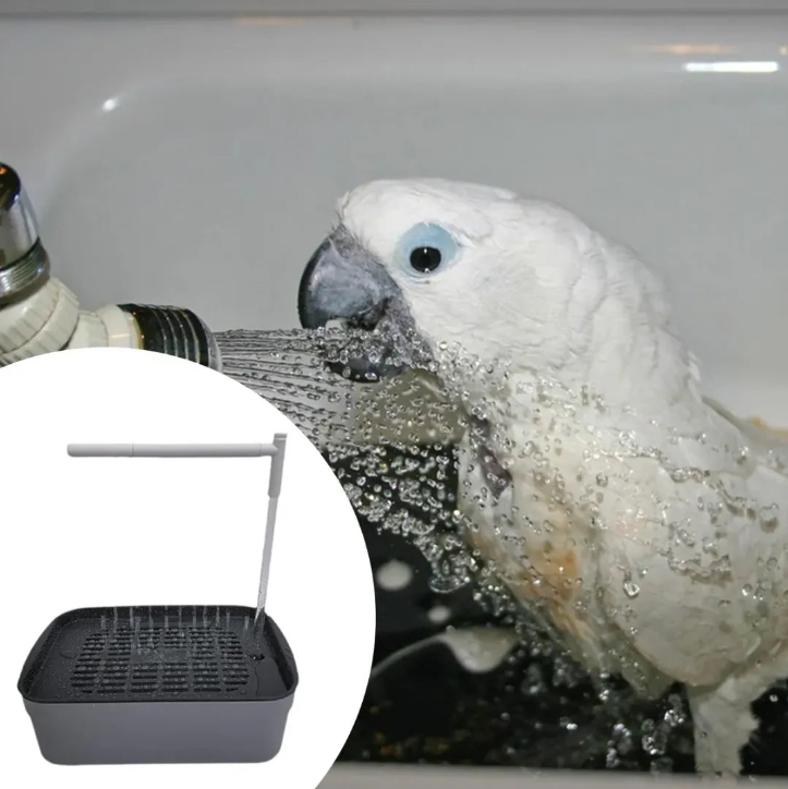 BAÑO AUTOMÁTICO PARA TU PÁJARO: SU MOMENTO FAVORITO DEL DÍA
