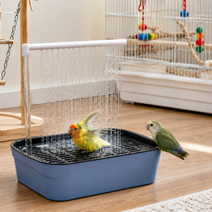 BAÑERA DE AVES: FRESCURA NATURAL EN CASA