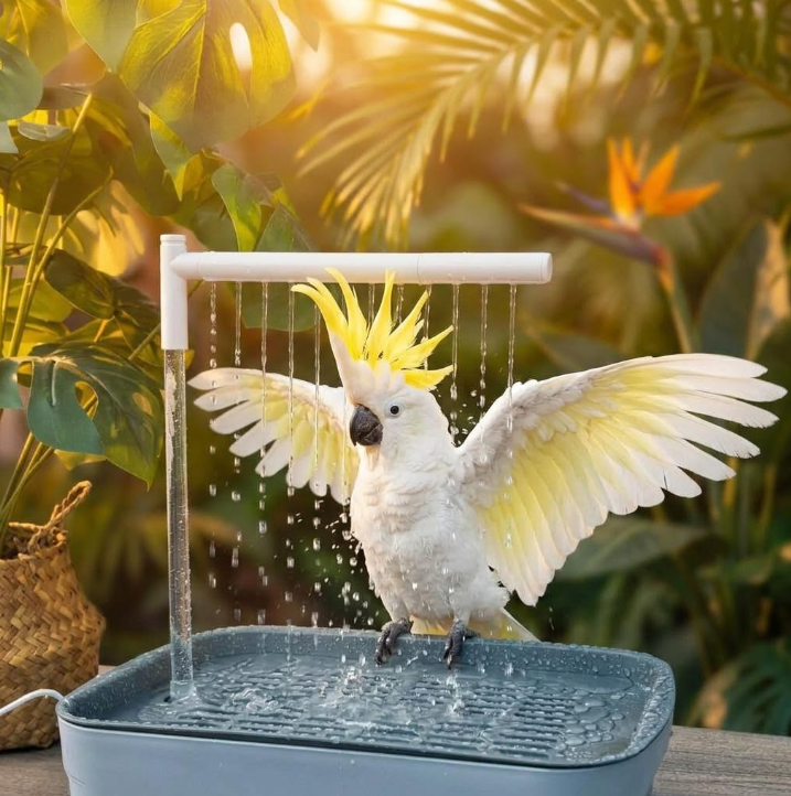 BAÑERA DE AVES: FRESCURA NATURAL EN CASA