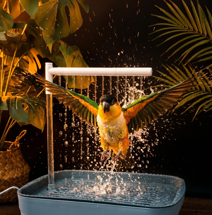 BAÑERA DE AVES: FRESCURA NATURAL EN CASA