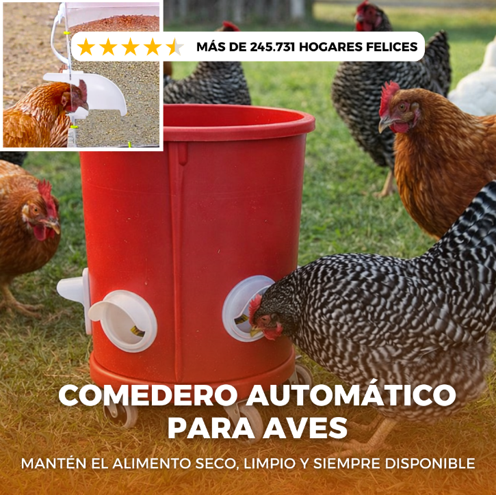 Set X 4 Comedero AutoFeed Anti-Desperdicio Para Aves de Corral