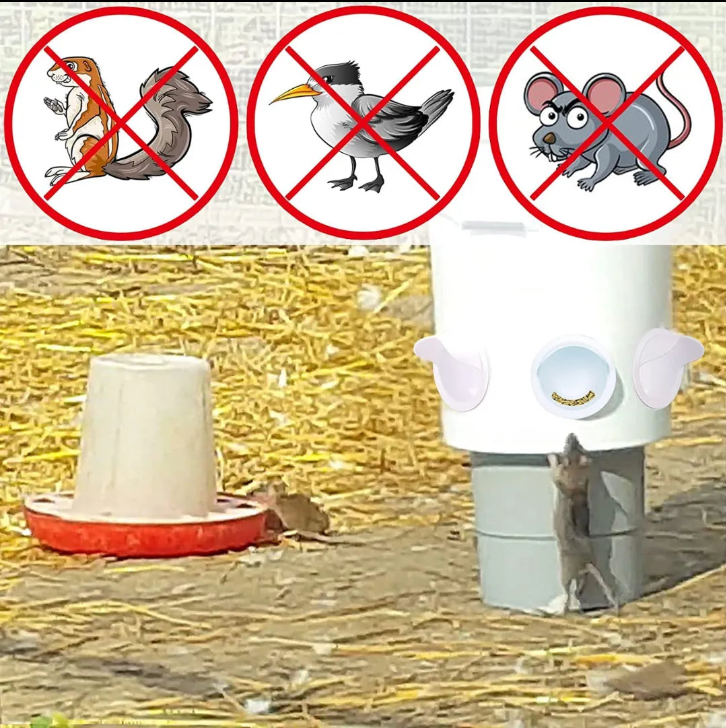 Set X 4 Comedero AutoFeed Anti-Desperdicio Para Aves de Corral