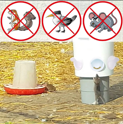 Set X 4 Comedero AutoFeed Anti-Desperdicio Para Aves de Corral