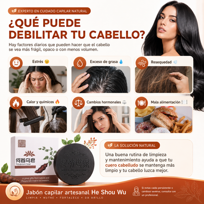 SHAMPOO COMPACTO: Menos quiebre, más fuerza y volumen