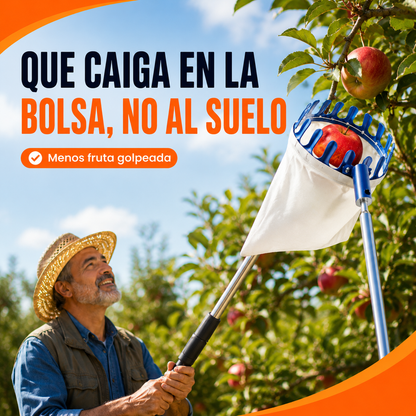 CESTA RECOLECTRORA DE FRUTAS