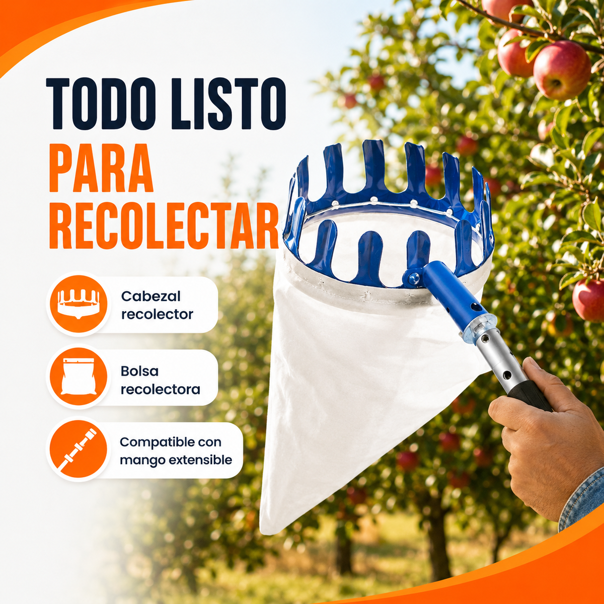 CESTA RECOLECTRORA DE FRUTAS