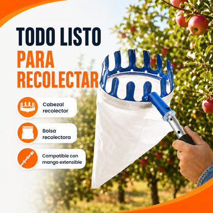 CESTA RECOLECTRORA DE FRUTAS
