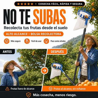 CESTA RECOLECTRORA DE FRUTAS