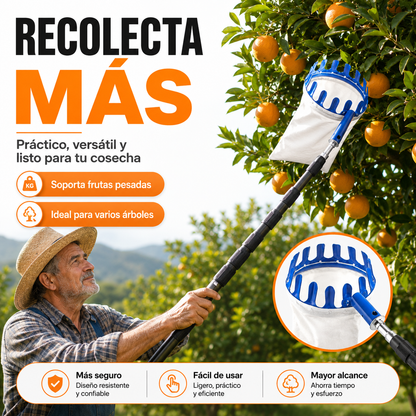 CESTA RECOLECTRORA DE FRUTAS