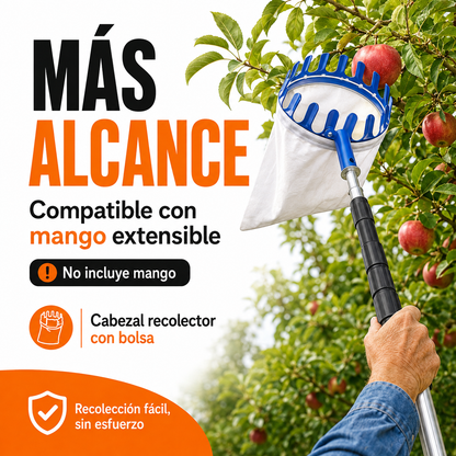 CESTA RECOLECTRORA DE FRUTAS