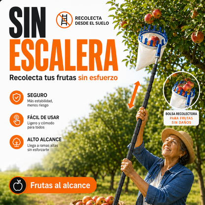 CESTA RECOLECTRORA DE FRUTAS